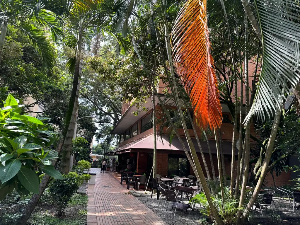 WhatsApp Image 2025-03-04 at 11.18.44 (1).webp